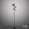 Paul Neuhaus POPSICLE Lámpara de Pie LED Negro, 7 luces