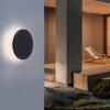 Paul Neuhaus PUNTUA Aplique para exterior LED Antracita, 1 luz