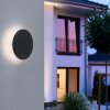 Paul Neuhaus PUNTUA Aplique para exterior LED Antracita, 1 luz