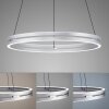 Paul Neuhaus PURE E-LOOP Lámpara Colgante LED Plata, 2 luces, Mando a distancia