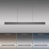 Paul Neuhaus PURE E-MOTION Lámpara Colgante LED Gris, 1 luz, Mando a distancia