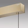 Paul Neuhaus PURE E-MOTION Lámpara Colgante LED dorado, 1 luz, Mando a distancia
