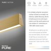 Paul Neuhaus PURE E-MOTION Lámpara Colgante LED dorado, 1 luz, Mando a distancia