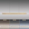 Paul Neuhaus PURE E-MOTION Lámpara Colgante LED dorado, 1 luz, Mando a distancia