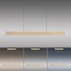 Paul Neuhaus PURE E-MOTION Lámpara Colgante LED dorado, 1 luz, Mando a distancia