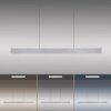 Paul Neuhaus PURE E-MOTION Lámpara Colgante LED Plata, 1 luz, Mando a distancia
