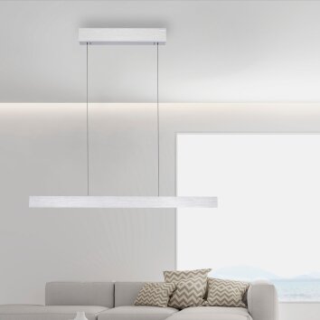 Paul Neuhaus PURE E-MOTION Lámpara Colgante LED Plata, 1 luz, Mando a distancia