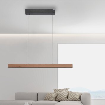 Paul Neuhaus PURE E-MOTION Lámpara Colgante LED Color madera, Negro, 1 luz, Mando a distancia