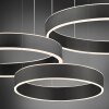 Paul Neuhaus SCULLI Lámpara Colgante LED Negro, 2 luces