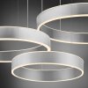 Paul Neuhaus SCULLI Lámpara Colgante LED Plata, 2 luces
