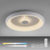 Leuchten-Direkt VERTIGO Lámpara de Techo LED Blanca, 1 luz, Mando a distancia