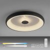 Leuchten-Direkt VERTIGO Lámpara de Techo LED Negro, 1 luz, Mando a distancia