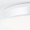 Brilliant Livius Lámpara de Techo LED Plata, 1 luz