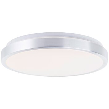 Brilliant Livius Lámpara de Techo LED Plata, 1 luz