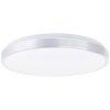 Brilliant Livius Lámpara de Techo LED Plata, 1 luz, Mando a distancia