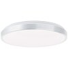 Brilliant Livius Lámpara de Techo LED Plata, 1 luz, Mando a distancia