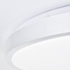 Brilliant Livius Lámpara de Techo LED Plata, 1 luz, Mando a distancia