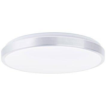 Brilliant Livius Lámpara de Techo LED Plata, 1 luz, Mando a distancia