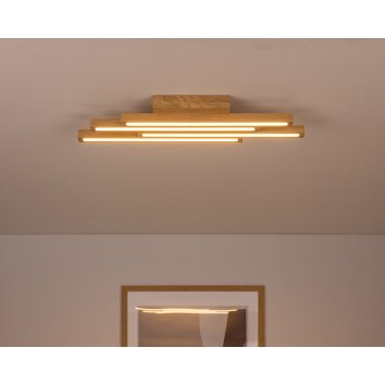 Cajas Lámpara de Techo LED Crudo, 4 luces