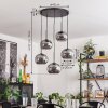 Apedo Lámpara Colgante Ahumado, 5 luces