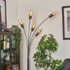 Caimitte Lámpara de Pie Negro, 5 luces