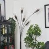 Caimitte Lámpara de Pie Negro, 5 luces