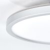Pawcatuck Lámpara empotrable LED Cromo, Blanca, 1 luz