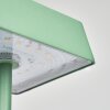 Algeraz Lámpara de mesa LED Verde, 1 luz