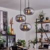 Apedo Lámpara Colgante - Cristal Ahumado, 3 luces