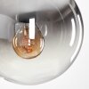 Gastor Lámpara Colgante - Cristal Cromo, Transparente, Ahumado, 1 luz