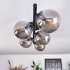 Chehalis Lámpara de Techo Ahumado, 5 luces