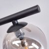 Chehalis Lámpara de Techo Ahumado, 5 luces