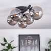 Chehalis Lámpara de Techo Ahumado, 5 luces