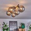 Chehalis Lámpara de Techo Ahumado, 5 luces