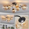 Chehalis Lámpara de Techo Colores ámbar, Transparente, 6 luces