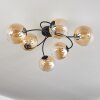 Chehalis Lámpara de Techo Colores ámbar, Transparente, 6 luces