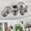 Chehalis Lámpara de Techo Ahumado, 6 luces