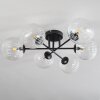 Chehalis Lámpara de Techo Transparente, 6 luces
