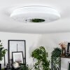 Lumsden Lámpara de Techo LED Blanca, 1 luz, Sensor de movimiento