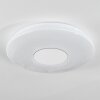 Lumsden Lámpara de Techo LED Blanca, 1 luz, Sensor de movimiento