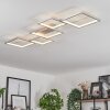 Bacolod Lámpara de Techo LED Plata, 1 luz