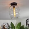 Apedo Lámpara de Techo - Cristal Transparente, 1 luz