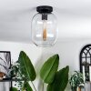 Apedo Lámpara de Techo - Cristal Transparente, 1 luz
