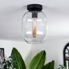 Apedo Lámpara de Techo - Cristal Transparente, 1 luz