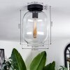 Apedo Lámpara de Techo - Cristal Transparente, 1 luz