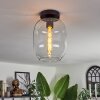 Apedo Lámpara de Techo - Cristal Transparente, 1 luz