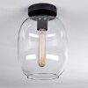 Apedo Lámpara de Techo - Cristal Transparente, 1 luz