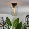 Apedo Lámpara de Techo - Cristal Transparente, 1 luz