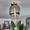 Apedo Lámpara de Techo - Cristal Latón, 1 luz