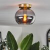 Apedo Lámpara de Techo - Cristal Latón, 1 luz